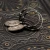P6241076.webp