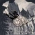 P6241126.webp