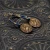 P6241079.webp