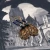 P6241120.webp