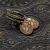 P6241083.webp