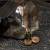P6241024.webp