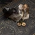 P6241028.webp