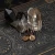 P6241029.webp