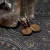 P6241031.webp