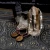 P6241032.webp