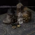 kolczyki kółka male whimsigothic celestial ksiezyc gwiazdka boheme noir.webp