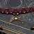 PA151257.webp